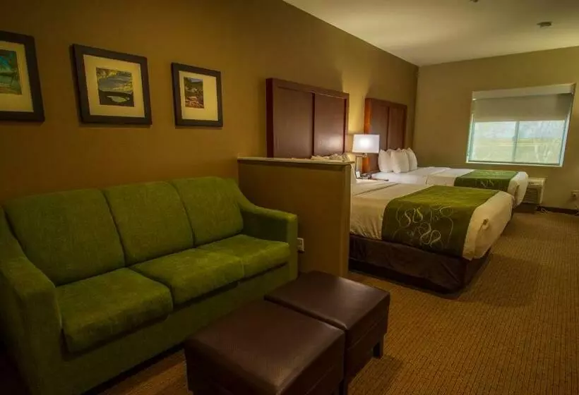 スイート, Comfort Suites Marysville Yuba City