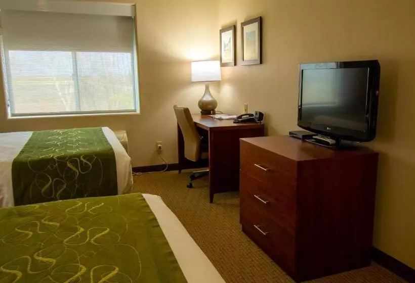 スイート, Comfort Suites Marysville Yuba City