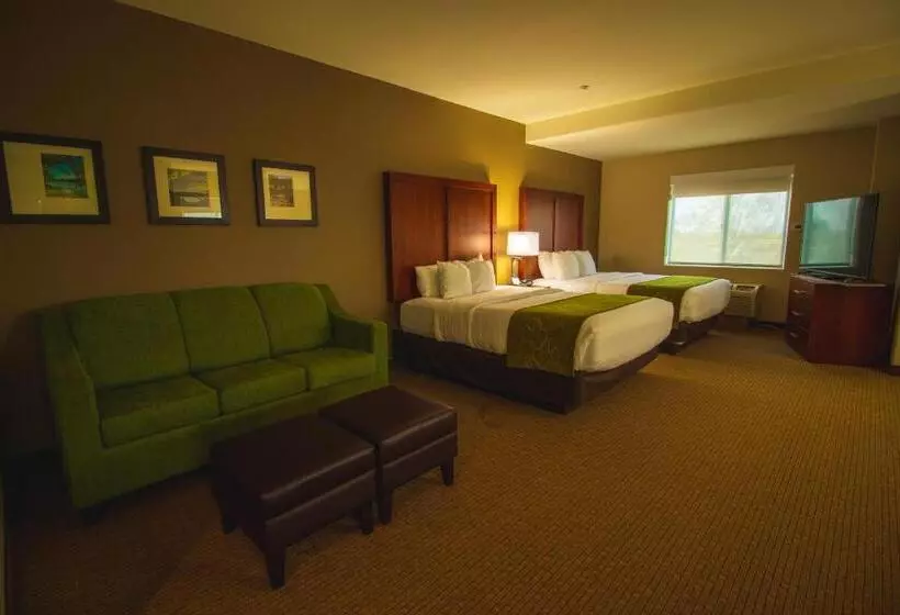 スイート, Comfort Suites Marysville Yuba City