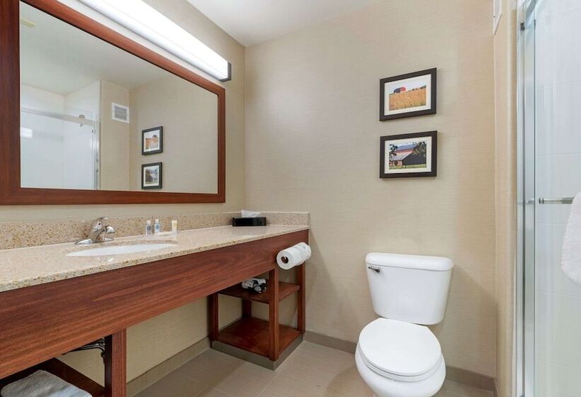 Люкс, Comfort Suites Marysville Yuba City