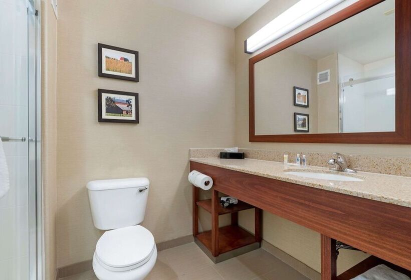 Люкс, Comfort Suites Marysville Yuba City