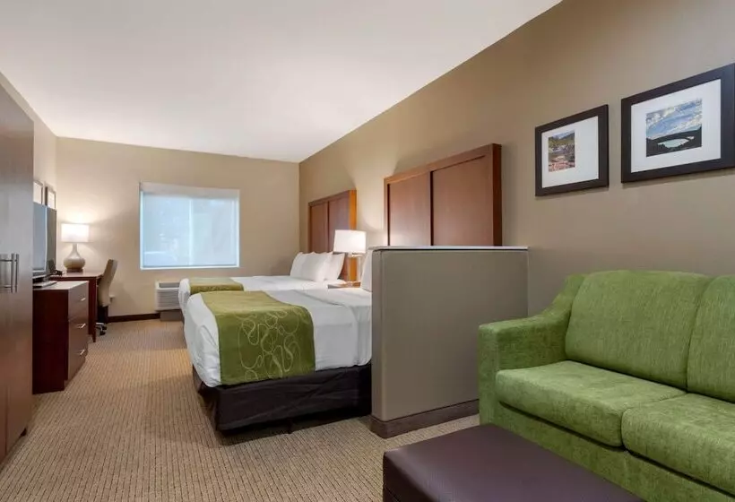 身障者適用スイートルーム, Comfort Suites Marysville Yuba City