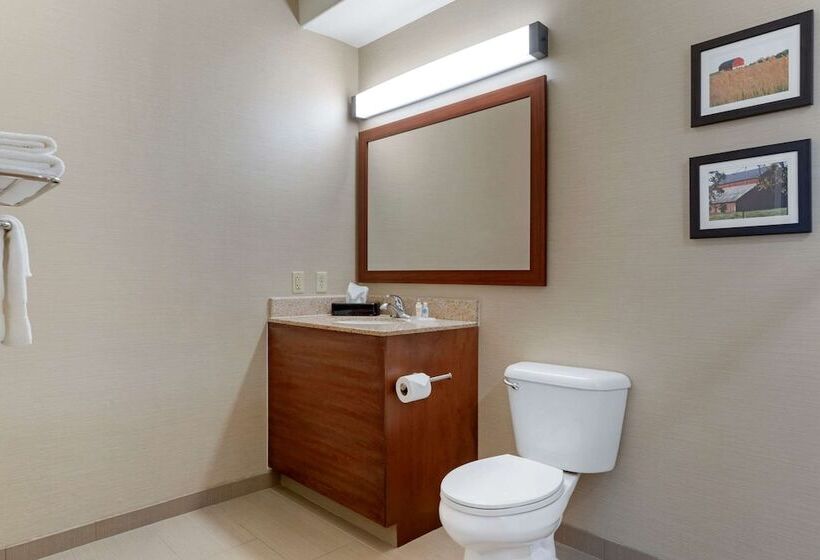 Люкс Адаптированный для Инвалидов, Comfort Suites Marysville Yuba City