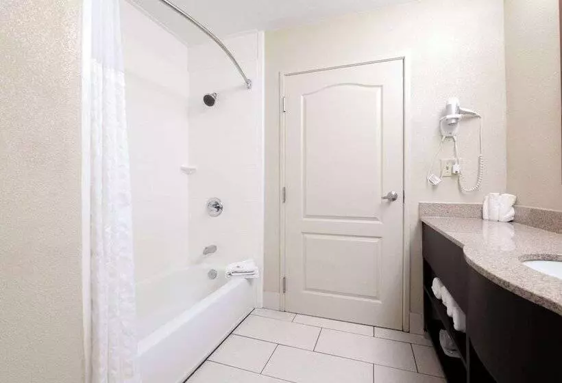 スイート, Comfort Suites Morrow Atlanta South