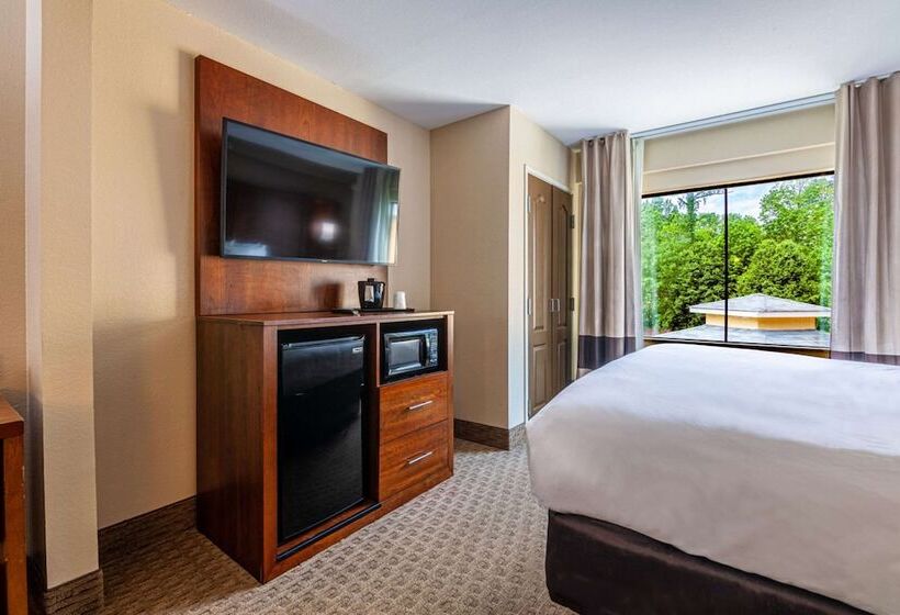 Люкс Адаптированный для Инвалидов, Comfort Suites Morrow Atlanta South