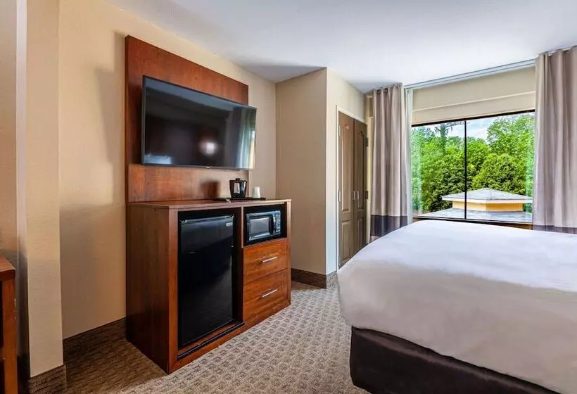 身障者適用スイートルーム, Comfort Suites Morrow Atlanta South