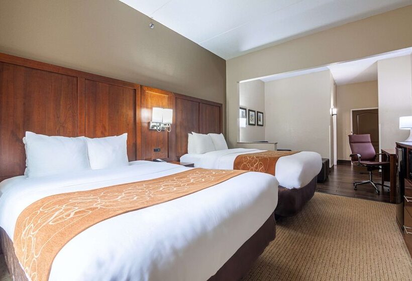 Люкс Адаптированный для Инвалидов, Comfort Suites Morrow Atlanta South