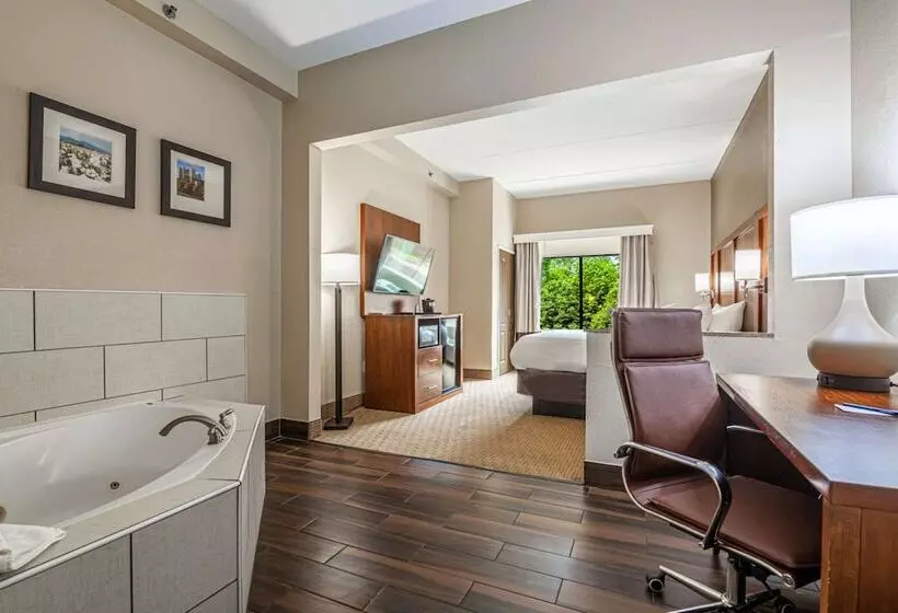 ハイドロマッサージバス付きスイート, Comfort Suites Morrow Atlanta South