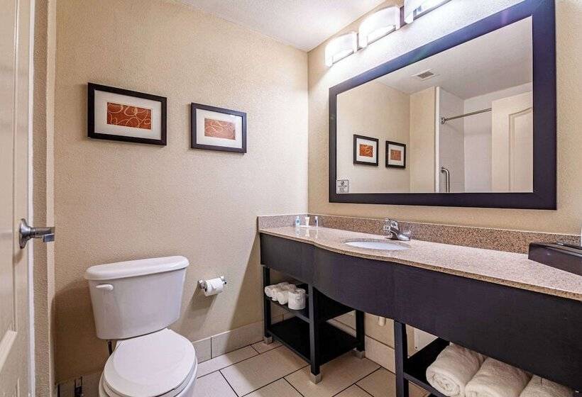 جناح مزود بجاكوزى, Comfort Suites Morrow Atlanta South