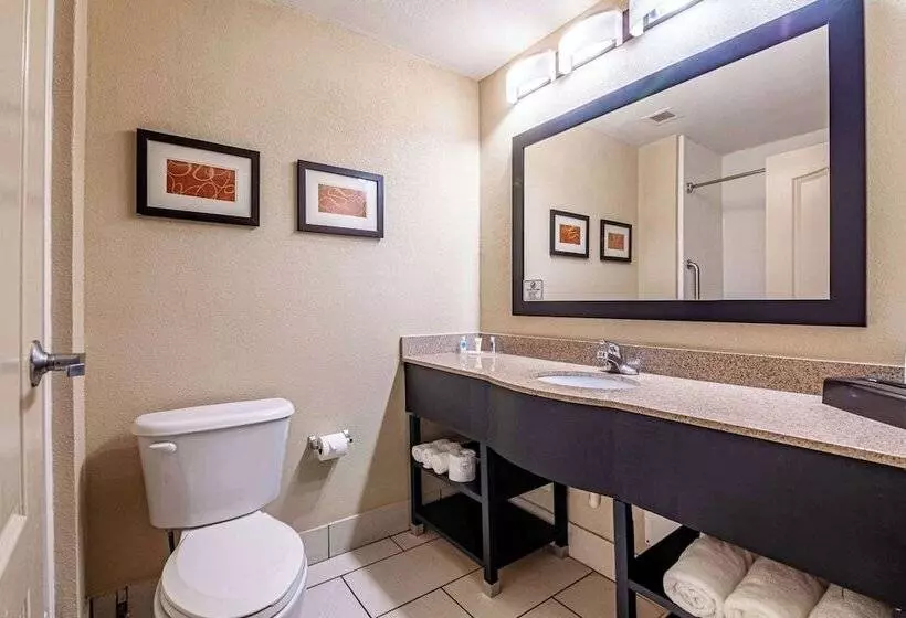 ハイドロマッサージバス付きスイート, Comfort Suites Morrow Atlanta South