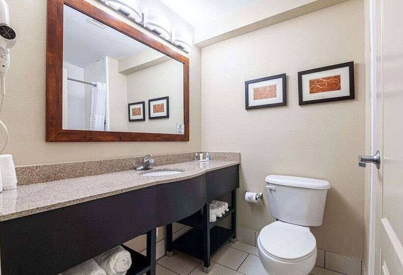 Люкс с гидромассажем, Comfort Suites Morrow Atlanta South