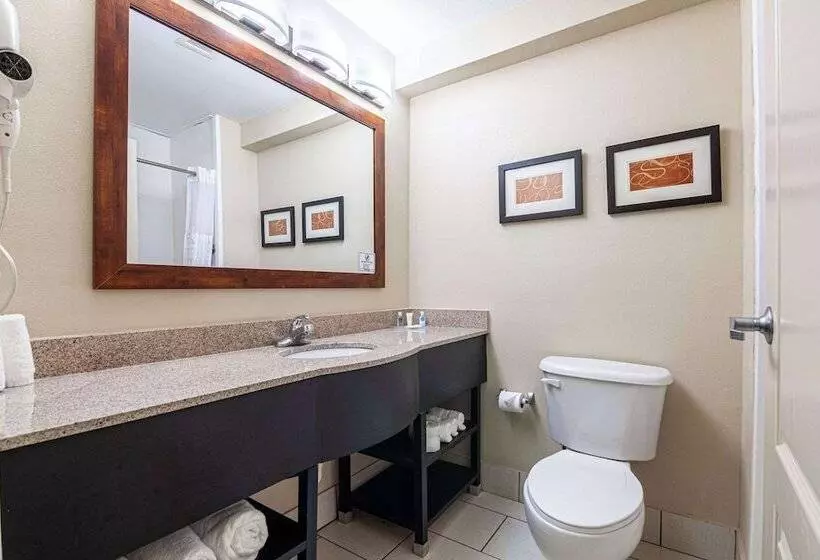 ハイドロマッサージバス付きスイート, Comfort Suites Morrow Atlanta South