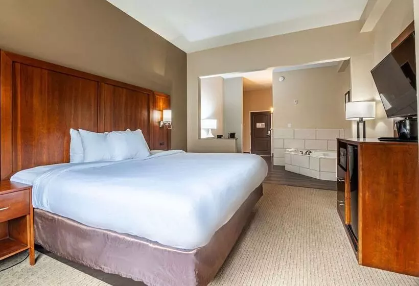 ハイドロマッサージバス付きスイート, Comfort Suites Morrow Atlanta South