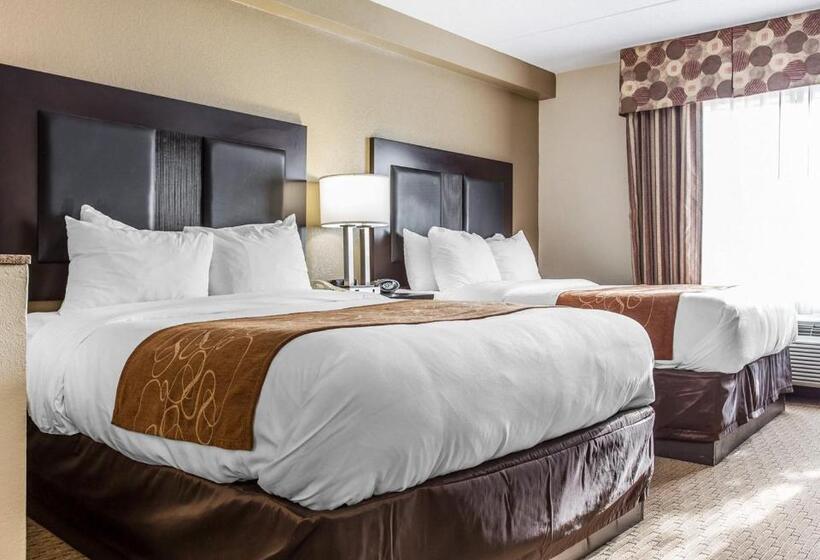 Люкс, Comfort Suites Morrow Atlanta South