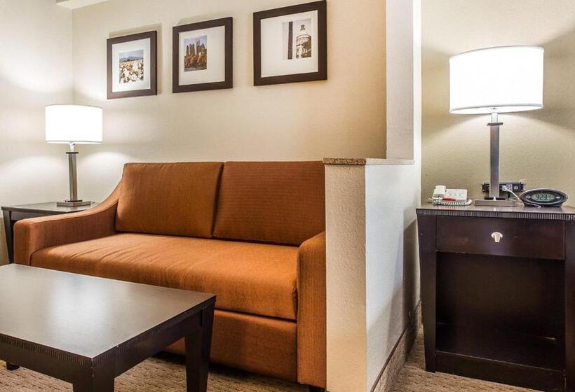 Люкс Адаптированный для Инвалидов, Comfort Suites Morrow Atlanta South