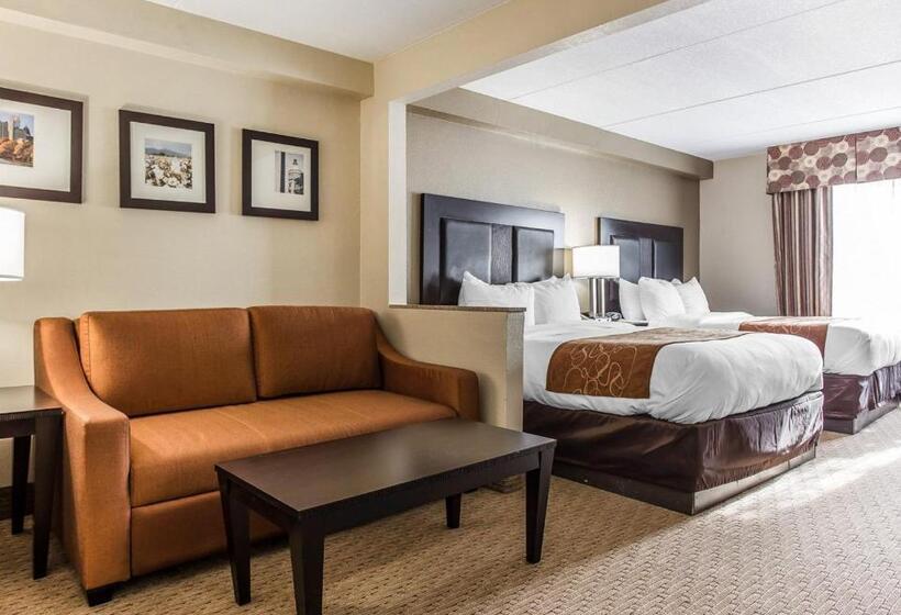 Люкс Адаптированный для Инвалидов, Comfort Suites Morrow Atlanta South