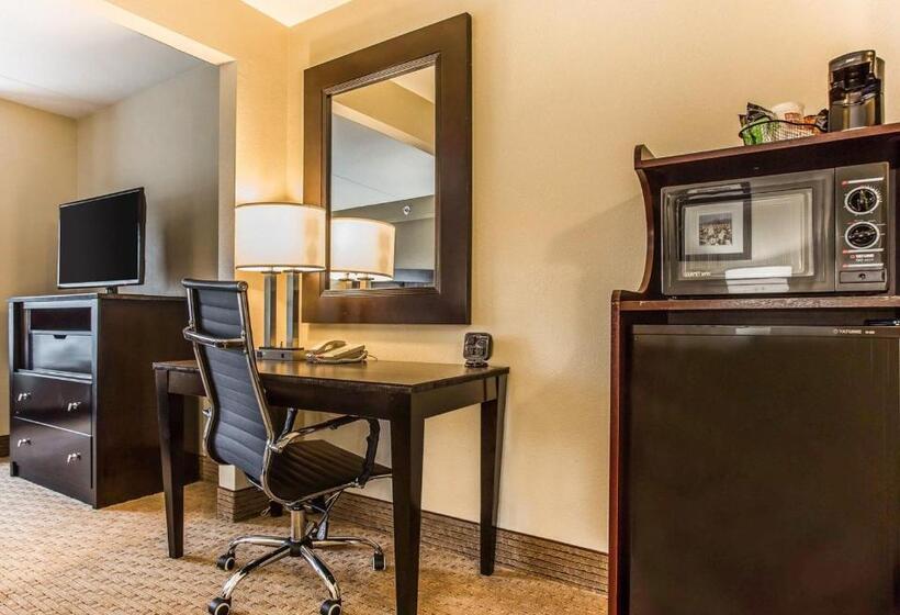 جناح مزود بجاكوزى, Comfort Suites Morrow Atlanta South