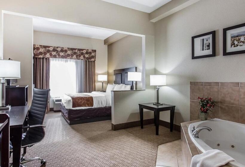 Люкс с гидромассажем, Comfort Suites Morrow Atlanta South
