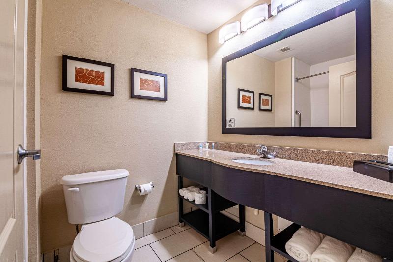 Люкс Кровать Кинг, Comfort Suites Morrow Atlanta South