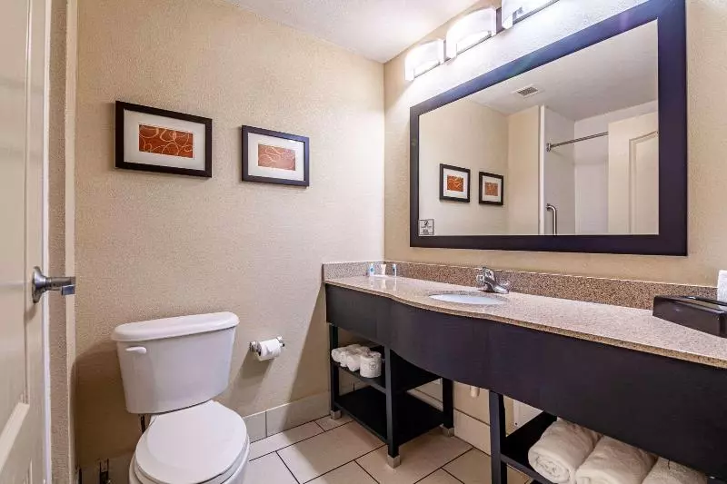 キングサイズベッドのスイートルーム, Comfort Suites Morrow Atlanta South