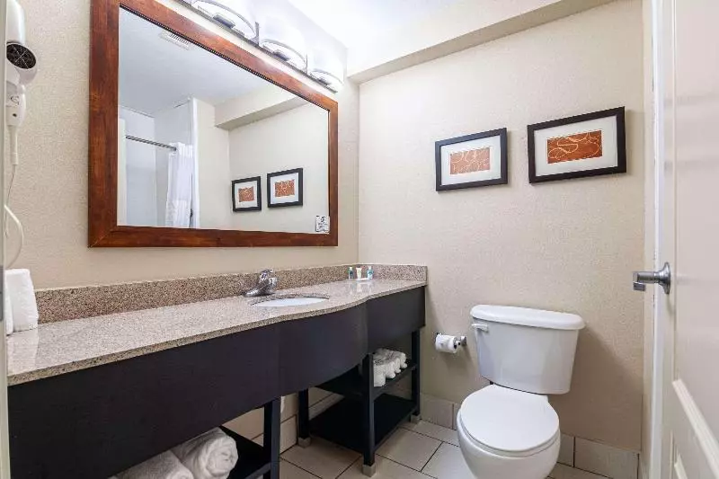 キングサイズベッドのスイートルーム, Comfort Suites Morrow Atlanta South