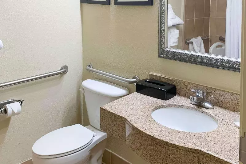 キングサイズベッドのスイートルーム, Comfort Suites Morrow Atlanta South