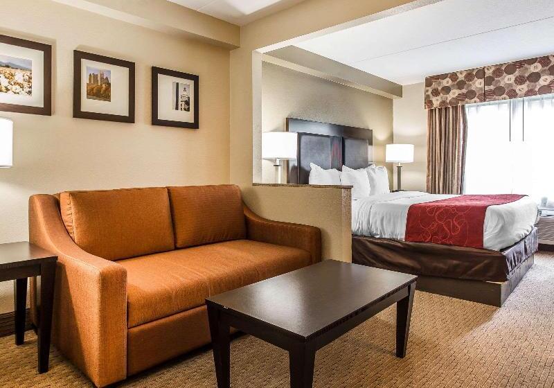 Люкс Кровать Кинг, Comfort Suites Morrow Atlanta South
