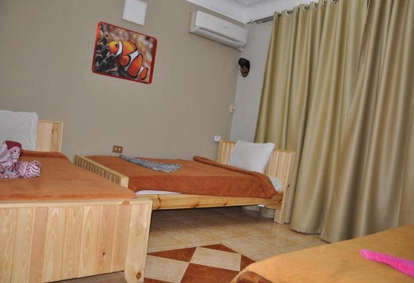 اتاق استاندارد سه نفره, Dahab Plaza