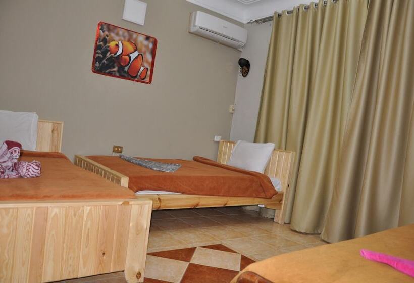 اتاق استاندارد سه نفره, Dahab Plaza