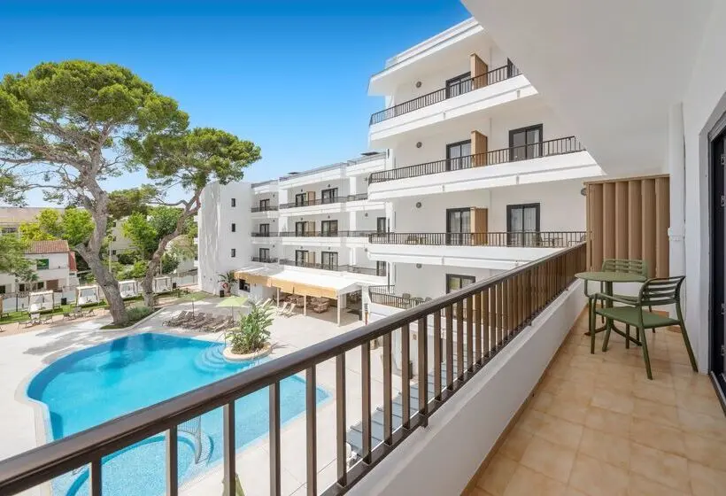 سوییت جونیور, Jaz Neo Reef Marsa