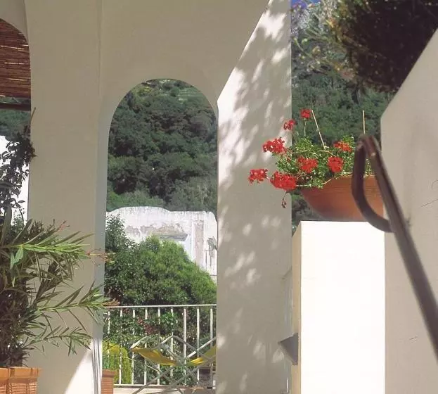 اتاق اکونومی, Senaria