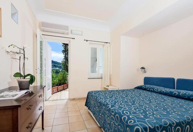 غرفة قياسية, Senaria