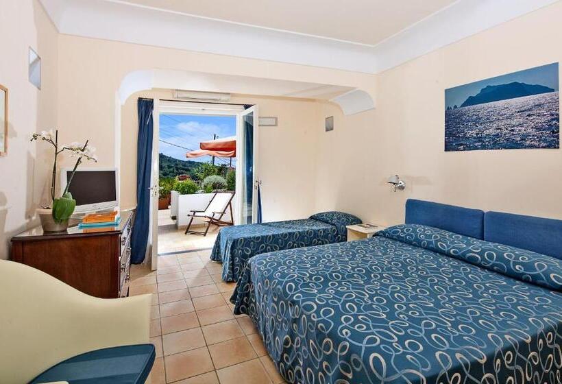 غرفة قياسية ثلاثية, Senaria