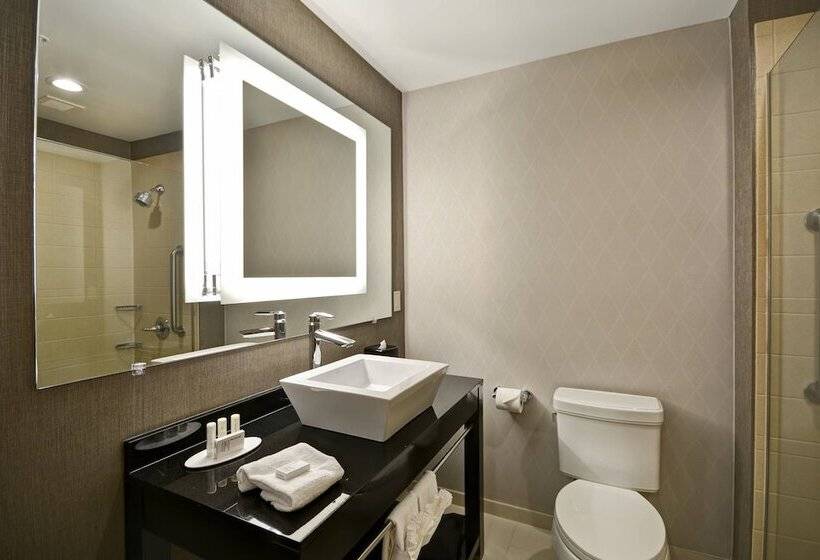 2 Szobás Suite, Springhill Suites By Marriott Indianapolis Airport/plainfield