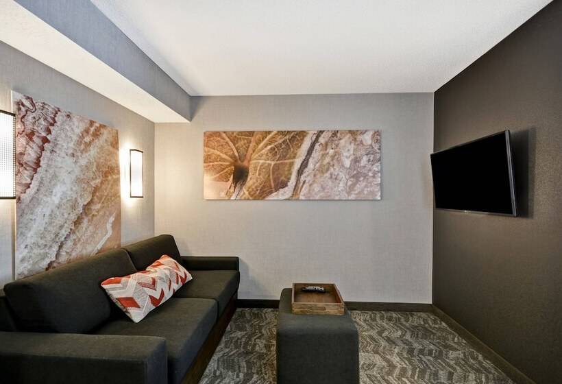 جناح غرفتين نوم, Springhill Suites By Marriott Indianapolis Airport/plainfield