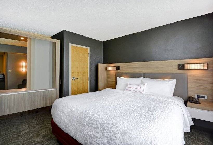 Lakosztály, Springhill Suites By Marriott Indianapolis Airport/plainfield
