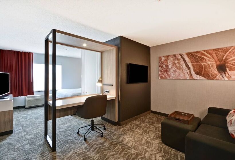 جناح, Springhill Suites By Marriott Indianapolis Airport/plainfield