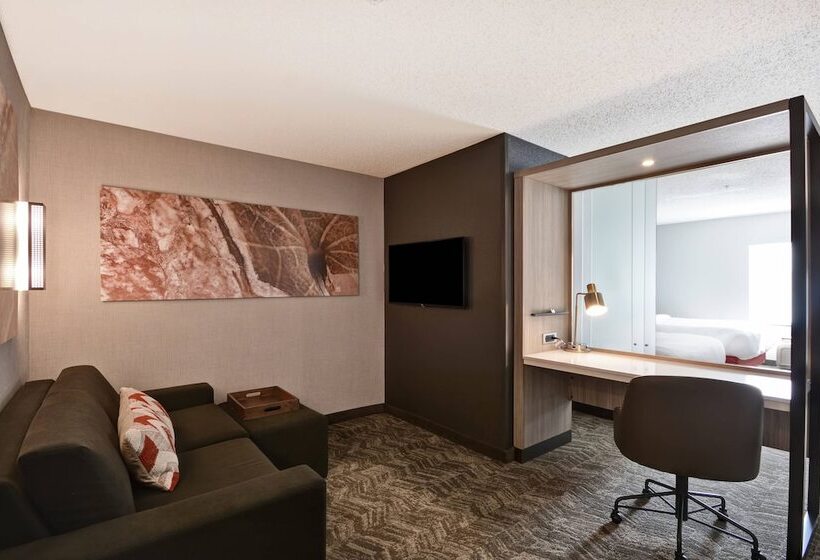 جناح, Springhill Suites By Marriott Indianapolis Airport/plainfield