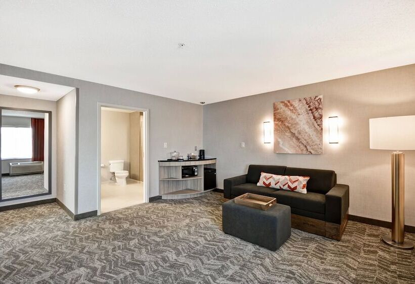 Lakosztály, Springhill Suites By Marriott Indianapolis Airport/plainfield