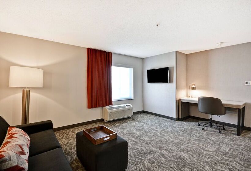 جناح, Springhill Suites By Marriott Indianapolis Airport/plainfield