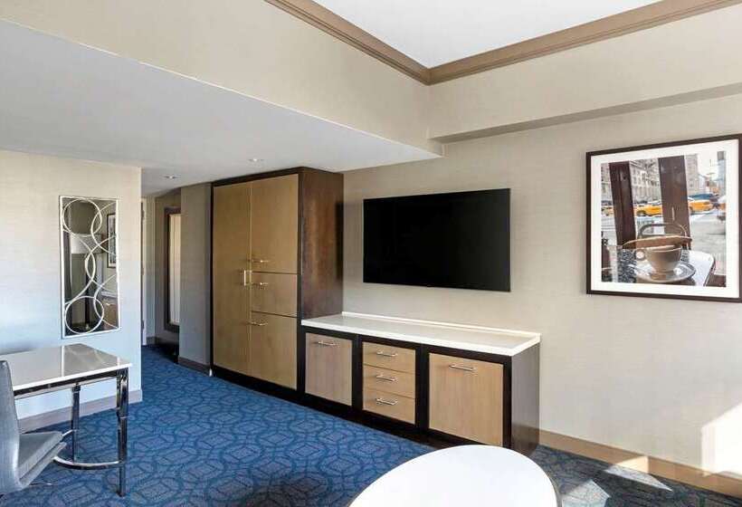 带2个卧室的套房, The Hilton Club New York