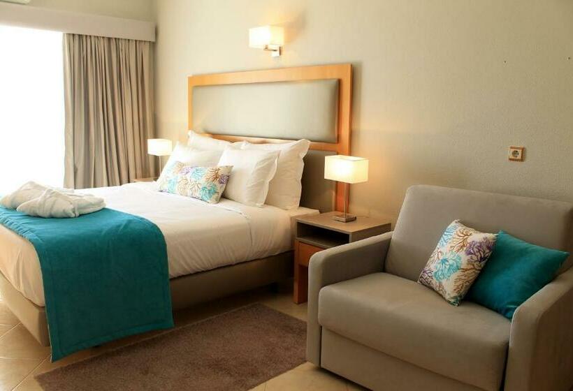 스탠다드 스튜디오, The Navigator Solaqua