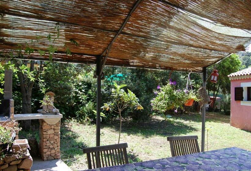 스탠다드 룸, Agriturismo L Aglientu B&b