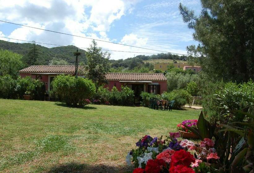استودیوی استاندارد, Agriturismo L Aglientu B&b