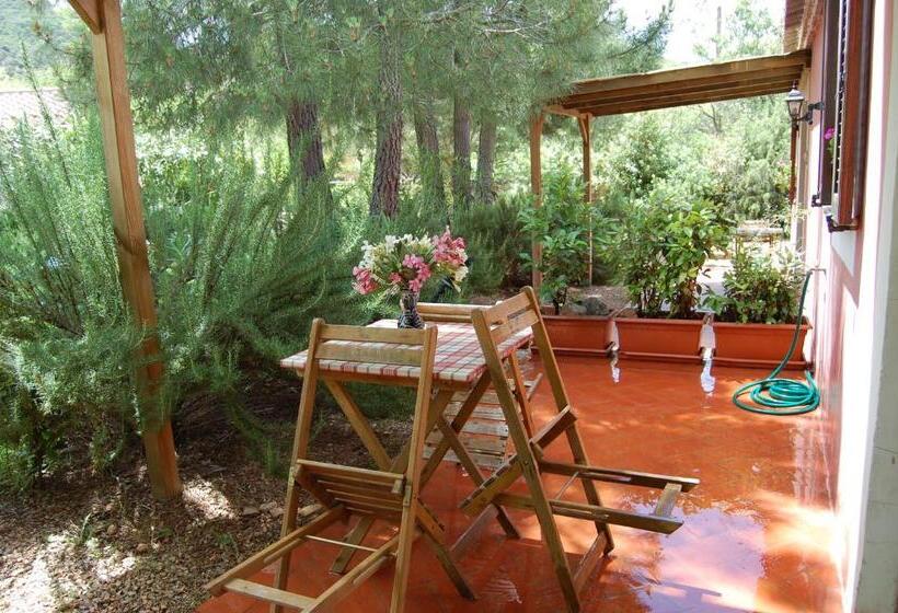 수피리어 트리플 룸, Agriturismo L Aglientu B&b