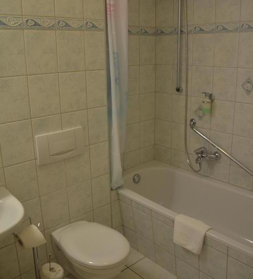 غرفة قياسية مطلّة علي الحديقة, Landgasthof Zur Goldenen Aue