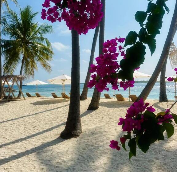 اتاق سوپریور با چشمانداز دریا, Met House