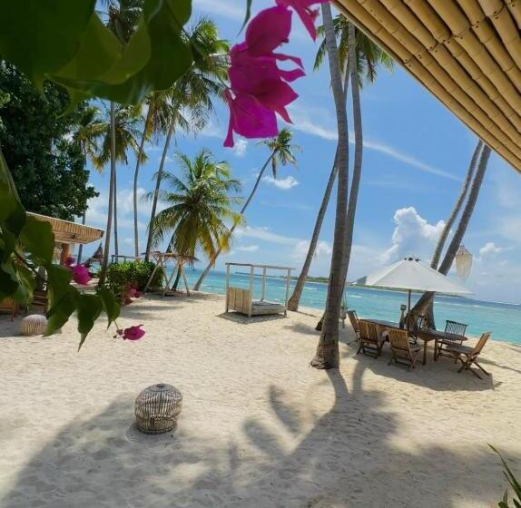 اتاق لوکس با چشمانداز دریا, Met House