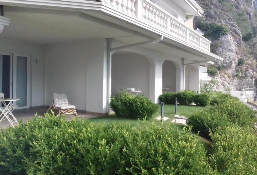 小型套房, Oliveto