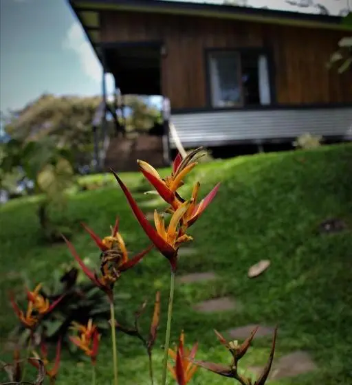 デラックスルーム, The Lodge At Reventazon River Mountain Ranch